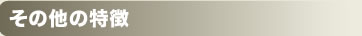 その他の特徴