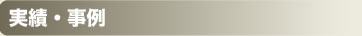 実績・事例