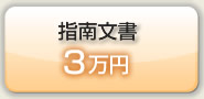 ビジネスブログ指南文書3万円