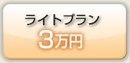 ライトプラン3万円