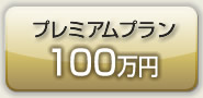 プレミアムプラン100万円