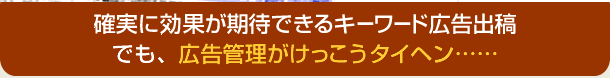 でも、広告管理がけっこうタイヘン……
