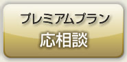 プレミアムプラン（応相談）