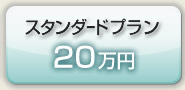 スタンダードプラン20万円