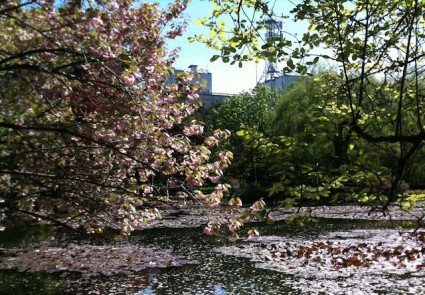 夏にはこのへんでジョッキをかたむけるのさー